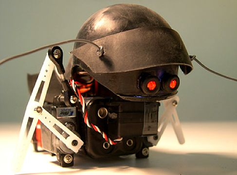 ����� SwashBot