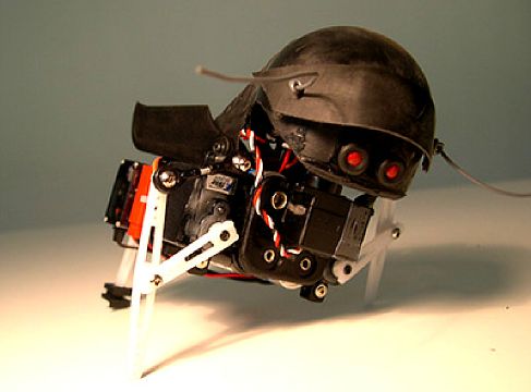 ����� SwashBot
