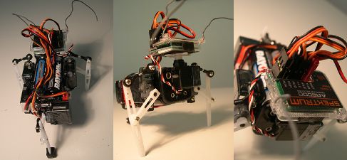 ����� SwashBot