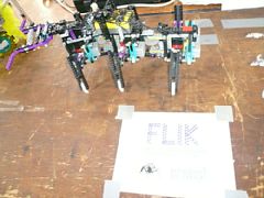 ROBOGAMES 2007