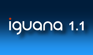 Iguana IDE
